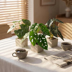 3pcs Small Fake Plants Artificial Begonia Leaves Faux Plants Indoor for Office Desk Shelf Bathroom Home Decor (3Pcs -7 Leaves)