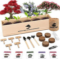 Indoor Bonsai Garden Starter Kit, 5 Seeds Growing into Red Maple, Wisteria, Black Pine, Judas Tree, Acacia, Including Complete Gardening Planters & A Planter Box for Women