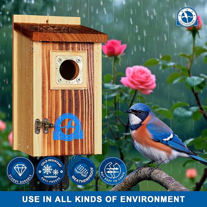 SISTERBIRD Pack of 2 Premium Bluebird Houses for Outside, Assembled Bird House Gift, Garden Decoration Bluebird House, Copper Predator Guard, Easy to Clean Bird Nesting