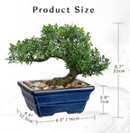 Artificial Bonsai Tree Faux Plants Indoor Fake Plants Decor with Blue Square Ceramic Pots for Home Table Office Desk Bathroom Shelf Bedroom Living Room Farmhouse Decorations