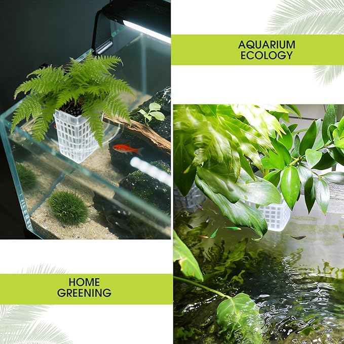 4 PCS Upgraded Aquarium Plant Holder, Adjustable Thickness Height Fish Tank Plant Holder with 4 Extension Hooks and 4 Suction Cups for Fish Tank Aquaponic Plant Cultivation (Clear)