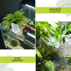 4 PCS Upgraded Aquarium Plant Holder, Adjustable Thickness Height Fish Tank Plant Holder with 4 Extension Hooks and 4 Suction Cups for Fish Tank Aquaponic Plant Cultivation (Clear)