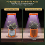 Self-Watering Planter with Grow Light — Cute Desk Plant Pot for Office, Bedroom & Window — No Green Thumb Needed, 2-in-1 Wall + Desktop, USB Powered (5W LED, White)