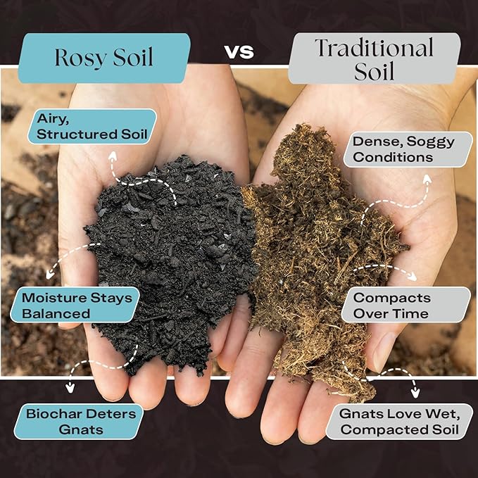 Rosy Soil Indoor Potting Soil for House Plants - Organic Potting Soil Mix for Indoor Plants - Enriched w/Root-Boosting Biochar for Foliage Plants, Flowers, Herbs - Peat Free, Less Prone to Gnats - 4qt