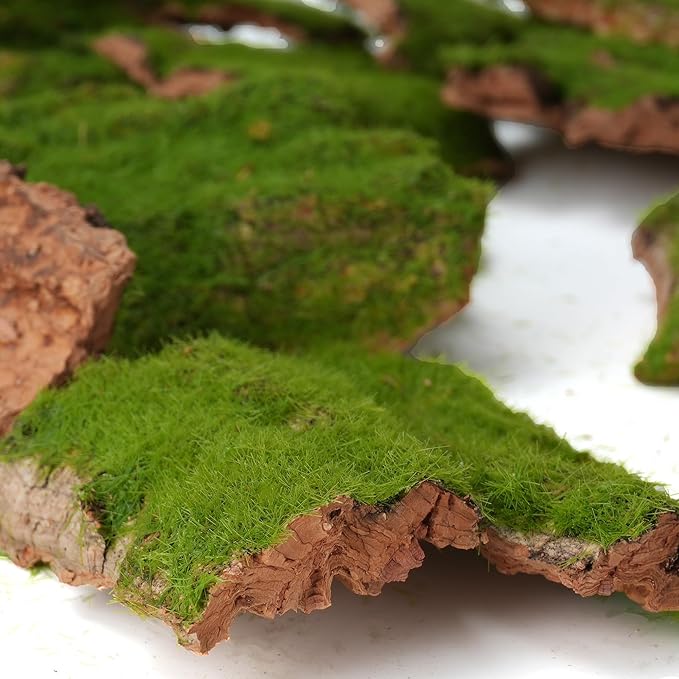 Assorted Artificial Moss Bark, Decorative Mossy Tree Bark for DIY Crafts, Fairy Gardens, Terrariums, Floral Arrangements (Realistic Green - 100gr)