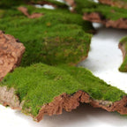 Assorted Artificial Moss Bark, Decorative Mossy Tree Bark for DIY Crafts, Fairy Gardens, Terrariums, Floral Arrangements (Realistic Green - 100gr)
