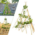 4ft Expandable Bamboo Teepee Trellis for Climbing Plants, Self-Standing Natural Bamboo Trellis for Plant Support, Folding Garden Trellis for Vines Flowers Vegetable Indoor Outdoor