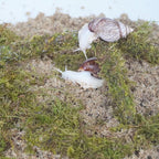 Snail Terrarium Accessory Kit 3PCS, Includes Layer Moisture-Retaining Substrate, Top Layer Moisture-Retaining Substrate, Climbing Toy