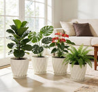 UOUZ 8 Inch Plant Pots, 4 Pack Plastic Planters for Indoor Outdoor with Drainage Holes & Saucers, Waffle Texture Flower Pots for Indoor Plants, Indoor Plant Pots for Monstera, Fiddle Leaf Fig, White