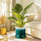 BUYMAX 8 Inch Plant Pot, Ceramic Planter with Drainage Hole and Saucer, Ceramic Flower Pot for Indoor Plants, Modern Round Flower Pots for Home and Office