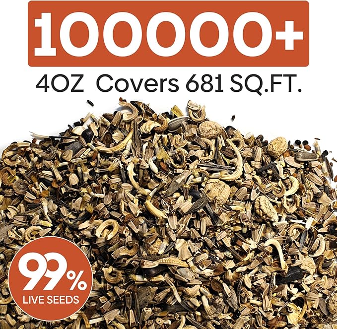 Groundio Wildflower Seeds Bulk, 4 Ounce, 200,000+ Seeds, 26 Varieties Annual & Perennial Flower Seeds Mix with Zinnia, Milkweed, Butterflyweed, Attracts Pollinators, Plant in Spring or Fall