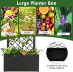Giantex 44" Metal Raised Garden Bed with Trellis, Elevated Vertical Planter with Garden Trellis for Vine Plant Flower Climbing, Indoor & Outdoor Use Plant Box for Yard Garden Balcony