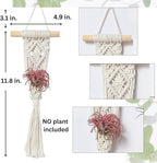4 Pack Air Plants Holders, Wall Planters for Indoor Plants | Macrame Plant Hanger, Air Plant Hanger for Air Fern, Tillandsias (for Air Plant, NO Plant Included)