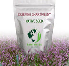 Earthwise Creeping Smartweed Seed – Native Groundcover Seed, Low Growing 4 to 6 in, Pink Blooms, Pollinator Friendly, Water Efficient, Pet Safe, Organic, Chemical-Free – Covers Up to 600 sq ft, 1/4 lb