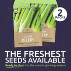 Organic Celery Seeds ‘Tall Utah’ – Two Seed Packets! – Over 1,926 Open Pollinated Heirloom Non-GMO Seeds – Sweet Yards Seed Co.