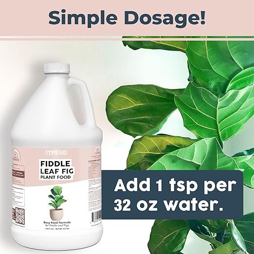 Fiddle Leaf Fig Plant Fertilizer – Liquid Plant Food for Bigger Leaves, Stronger Roots & Healthy New Growth, 1 Gallon