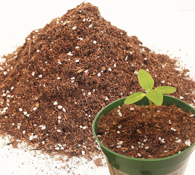 3QT Potting Soil Mix for Indoor Plants - Contains Perlite, Peat Moss, Coco Coir & Rice Charcoal, Natural & Organic Material with Well-Draining, Light & Aerated Texture for Healthy Roots & Fast Growth