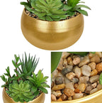 Hollyone Fake Plants Artificial Succulents in Pots Faux Succulent Arrangement Potted Plant with Gold Ceramic Planter Bowl for Home Decor Office Desk Bathroom Shelf Living Room Indoor Decorations