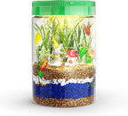 Dan&Darci Light-Up Terrarium Kit for Kids - STEM Science Kit - Educational DIY Toy for Boys & Girls - Birthday Gift - Craft Project Idea for Ages 6 7 8 9 10 11 12 Year Old - Craft for Boys