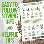 Seed Needs Italian Parsley & Dill Seeds for Planting Fresh Kitchen Herbs - Non-GMO Heirloom & Untreated Perennial Herb Seed to Plant a Culinary Garden Indoors or Outdoors (2 Pack Duo)