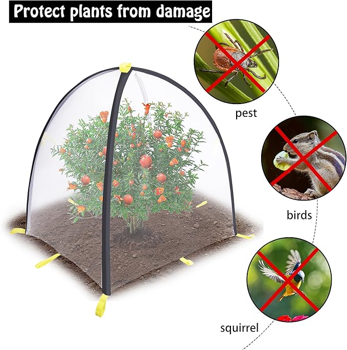 PURPLE STAR 1N 35 x35 x 39 Inch Insect Barrier Plant Tent Cover-Insect Bird Barrier Netting Mesh-Bug Guard Cover with Stakes for Protect Plants Fruits from Insect Bird Eating (1, L)