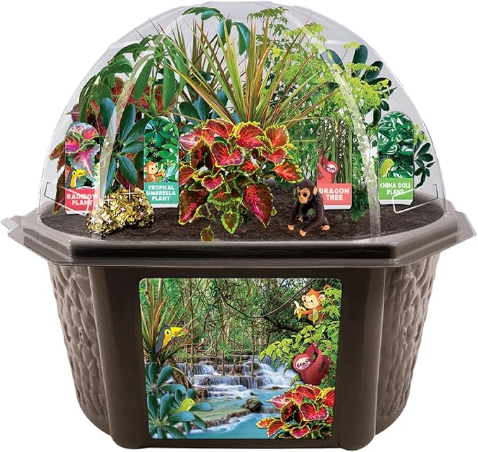 Toys by Biosphere Terrarium Starter Kit with Complete Supplies to Create Your Own Jungle! Indoor Plants for Home Displays and Gardens (Tropical Rainforest Jungle)