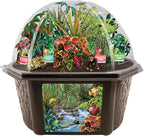 Toys by Biosphere Terrarium Starter Kit with Complete Supplies to Create Your Own Jungle! Indoor Plants for Home Displays and Gardens (Tropical Rainforest Jungle)