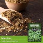 Survival Garden Seeds - Horehound Seeds for Planting - 2 Packets with Instructions to Plant and Grow Beneficial Marrubium Medicinal Herbs in Your Home Vegetable Garden - Non-GMO Heirloom Variety