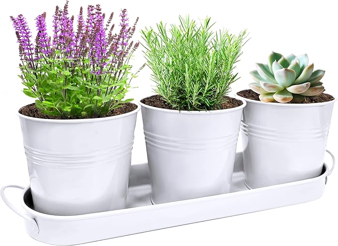 TCBWFY Indoor Herb Garden Planter Set - 3 Pack 4.7" White Metal Plant Pots with Drainage Holes & Removable Tray - Windowsill Kitchen Counter Balcony Office Garden