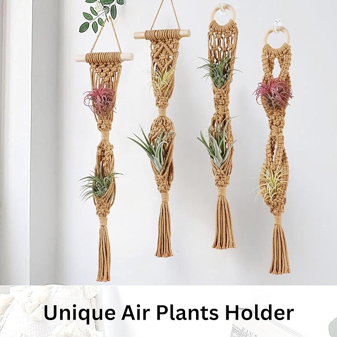 4 Pack Air Plants Holders, Wall Planters for Indoor Plants | Macrame Plant Hanger, Air Plant Hanger for Air Fern, Tillandsias, Live Houseplants & Succulent (NO Plant Included)