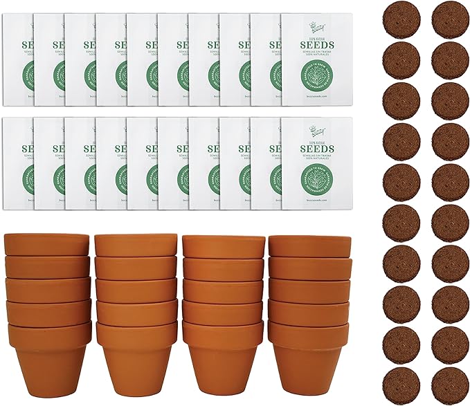 BUZZY Seeds Terracotta Mini Grow Pots – Herb Flower Plant Starter Kit Assorted 20-Pack with Lavender Seeds, Indoor Grow Your Own Gardening Gift for DIY Projects and Party Favors