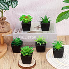 6 Pack Artificial Succulents Plants Potted Small Fake Greenery Plant Realistic in Black Pots for Office Desk Halloween Decorations Bedroom Living Room Shelf Bathroom Decor