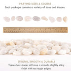 5 lbs Approx. 130 White River Rocks Stones for Plants Pebbles for Indoor Plants | Aquarium Fish Tank Rocks | Polished Decorative Rocks for Vases (0.8-1.6 Inches)