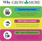 Grow More Cactus Juice (1-7-6) - 16oz of Succulent Fertilizer - Cactus Food for Growth & Root Development - Calcium-Rich Fertilizer for Succulents, Cacti, Snake Plants, & More