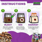 All-in-One Mushroom Grow Kit (6-Pack) – 3lb Mini Bags with Sterilized Grain and CVG Substrate, Injection Ports Included, for Growing Mushrooms at Home (Spores Not Included)