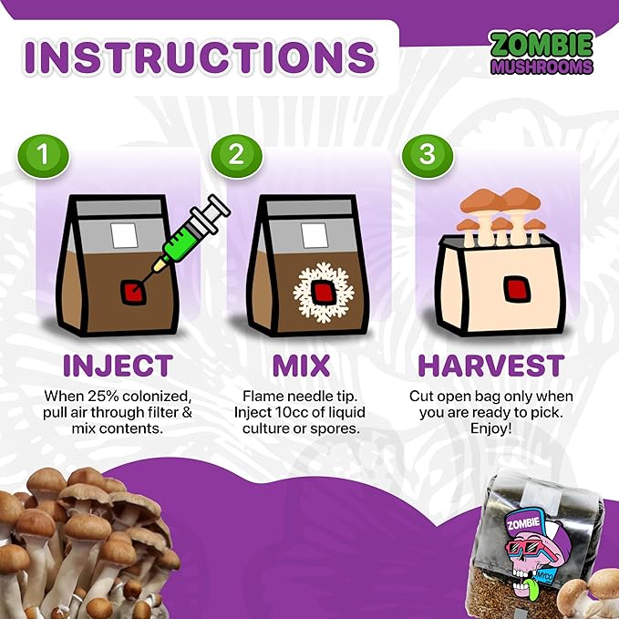 All-in-One Mushroom Grow Kit (6-Pack) – 3lb Mini Bags with Sterilized Grain and CVG Substrate, Injection Ports Included, for Growing Mushrooms at Home (Spores Not Included)