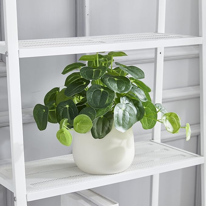 365 Blooming Decor Artificial Pilea Plant – Luxury Potted Money Plant in White Textured Pot with Real Pebbles, Premium Soft Plastic, Pet-Friendly, Realistic Look and Touch, No Assembly