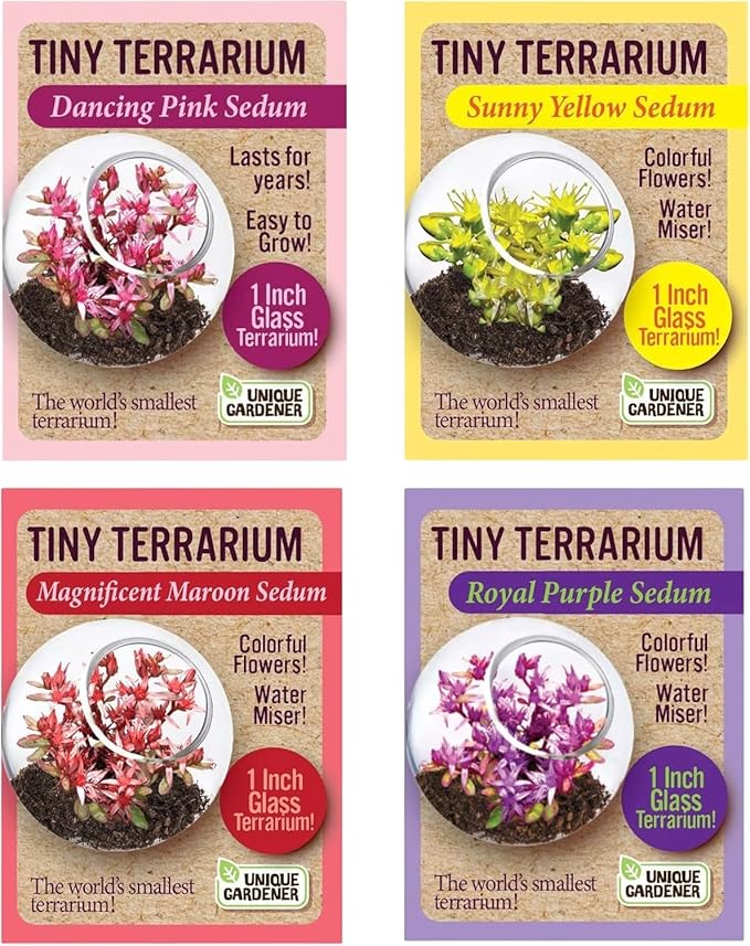 Unique Gardener Tiny Terrarium Plant Seeds 4 Variety Pack, DIY Indoor Succulents and Live Plants for Home or Garden Planting, Assorted Sedum Pack