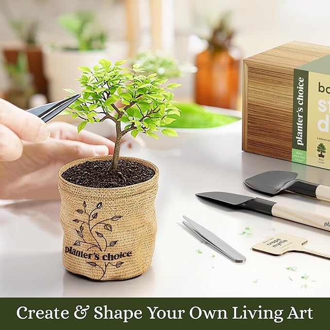 Planter's Choice Bonsai Tree Starter Kit - Unique Easter Gifts for Women, Men - Birthday Gifts for Adults - Indoor Live House Plants - DIY for Adults Craft Kits - Hobby Gift Gardening Lovers