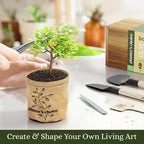 Planter's Choice Bonsai Tree Starter Kit - Unique Easter Gifts for Women, Men - Birthday Gifts for Adults - Indoor Live House Plants - DIY for Adults Craft Kits - Hobby Gift Gardening Lovers