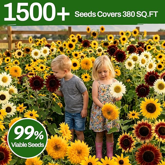 LUOJIBIE Sunflower Seeds 5 Varieties Mixed, 1500+ Sunflower Seeds for Planting 2026, High Germination Non-GMO, Wildflower Seeds for Planting Indoor Outdoor, Open Pollinated