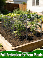 16''H x 11''Dia Plant Protectors from Animals - Full-Protection Anti-Rust Plant Cages with Covers for Outdoor Plants, Wire Garden Cloches for Plants Strawberry Keeping Chicken Rabbits Out, 4 Sets