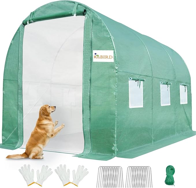 KING BIRD Premium 10x6.6x6.6FT Greenhouse for Outdoors, Large Walk-in Heavy Duty Galvanized Steel Frame, Mesh Door Screen Window Upgraded Zipper Tunnel Hoop for Garden Plant Winter, Green
