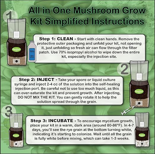 MycoHaus Mushroom All in One Growing Kit with Injection Ports | Indoor Grow Bags for Mushrooms | Home Cultivation Supplies | Without Spores | 4 Pack