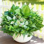 12 Bundles Artificial Plants Outdoor,UV Resistant Fake Greenery Stems with Large Shrubs Faux Plastic Plant for Outside Front Porch Planters Garden Window Box Patio Decor(Pot Not Included)
