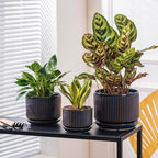 Navy Blue Ceramic Plant Pots Set of 3, 4.3+5.5+6.7 Inch Indoor Flower Pots with Drainage Hole & Saucer & Hole Mesh Pads, Striped Decorative Planter Set for Indoor Plants, Gardening Pots & Accessories