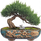 MUZHI 9.5” Rectangular Ceramic Rustic Bonsai Planter Pots with Drip Tray, Glazed Vintage Wide Mouth Shallow Pottery Bonsai Flower Planter Pots with Saucer