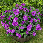 Nigirior Artificial Fake Flowers for Outdoor Décor 6 Bundles UV Resistant Fake Plants for Planter Faux Impatiens for Home Porch/Garden Stunning（Purple）