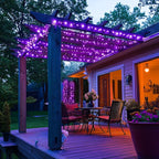 JMEXSUSS 400 LED Purple Christmas Lights Indoor Outdoor, 132 ft String Lights Plug in with Remote, 8 Modes Purple Christmas Tree Lights for Garden Patio Party Christmas Decoration (Pack of 2)