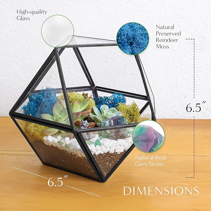 Creations by Nathalie DIY 7" Geometric Terrarium Kit - Build Your Own Glass Terrarium for Adults & Teens with Moss, Crystals, Tools & Decorative Figurine - Mini Ecosystem (Plant Not Included)